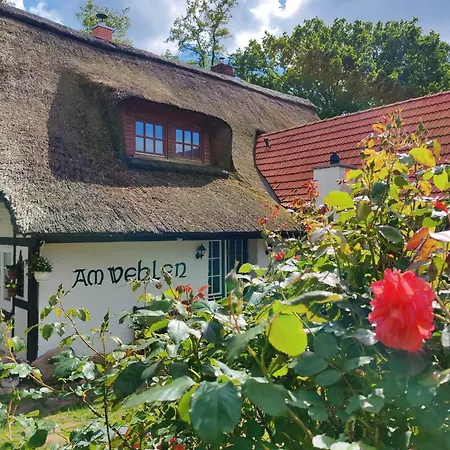 Idyllische Auszeit Im Reetdachhaus Am Wehlen Apartment *