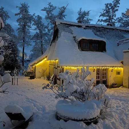 Idyllische Auszeit Im Reetdachhaus Am Wehlen